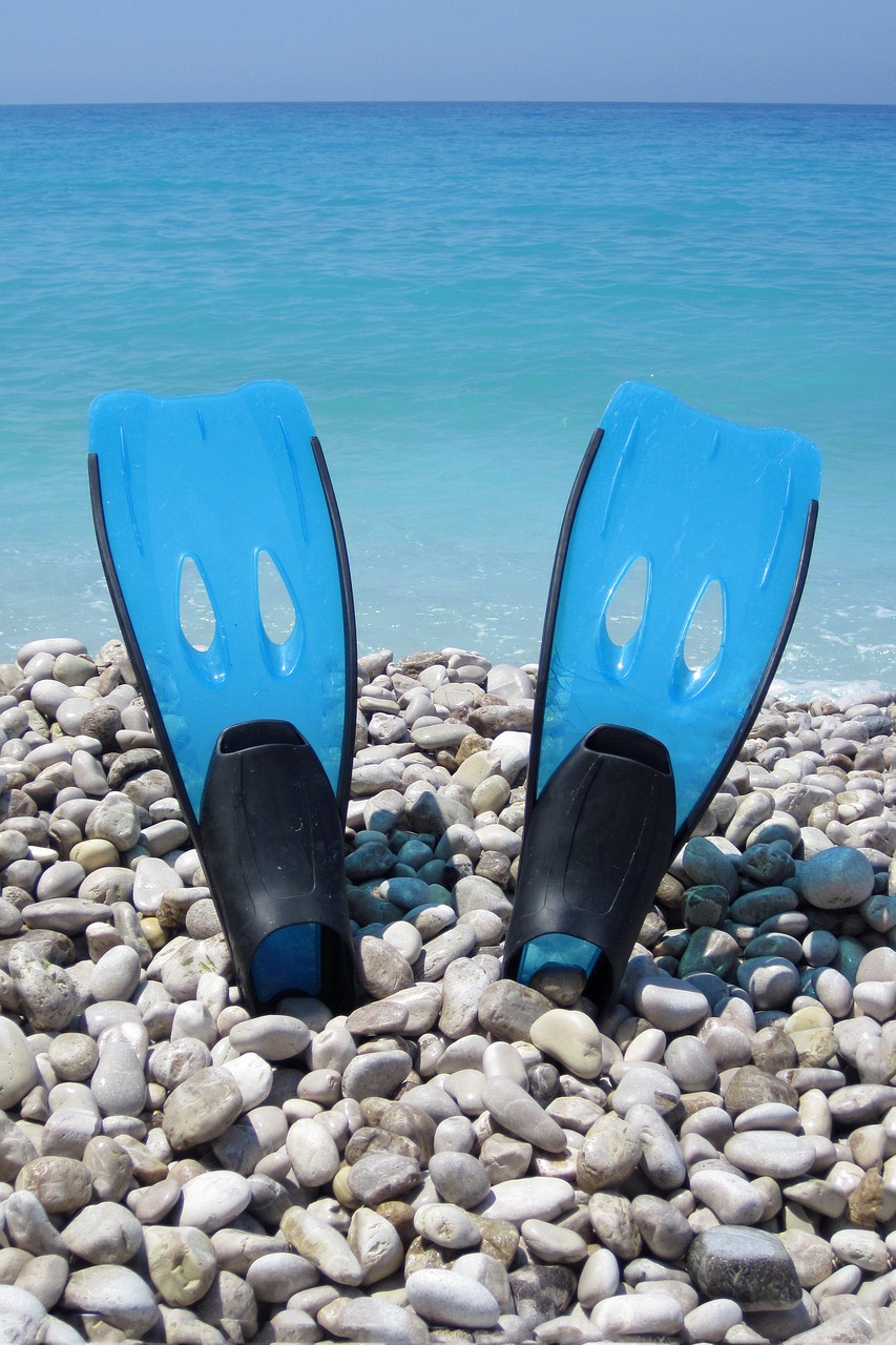 digital beach, blue, diving, fins, flipper, flippers, fun, holiday, ocean, scuba, nature, sea, snorkel, snorkeling, sport, summer, travel, tropical, vacation, water, blue sports, blue fun